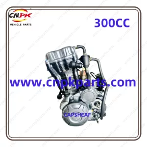 300cc Engine