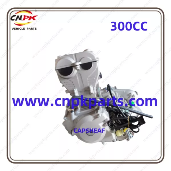 Motor Engines 300cc