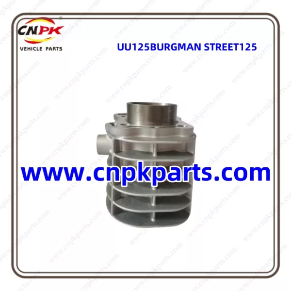 Cylinder Kits block UU125BURGMAN STREET125