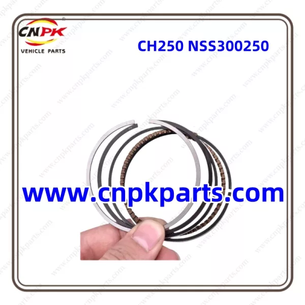 Motorcycle Piston Ring CH250 NSS300250