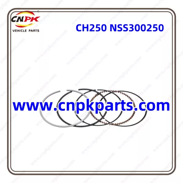 Motorcycle Piston Ring CH250 NSS300250