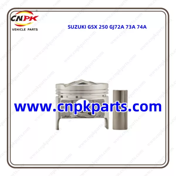 Suzuki GSX 250 GJ72A 73A 74A piston ring kit