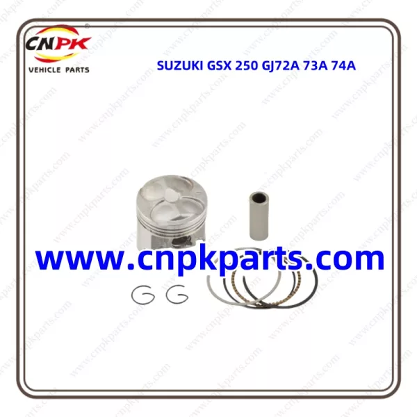 Suzuki GSX 250 GJ72A 73A 74A piston ring kit