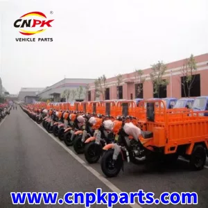 Cargo tricycle vehicle